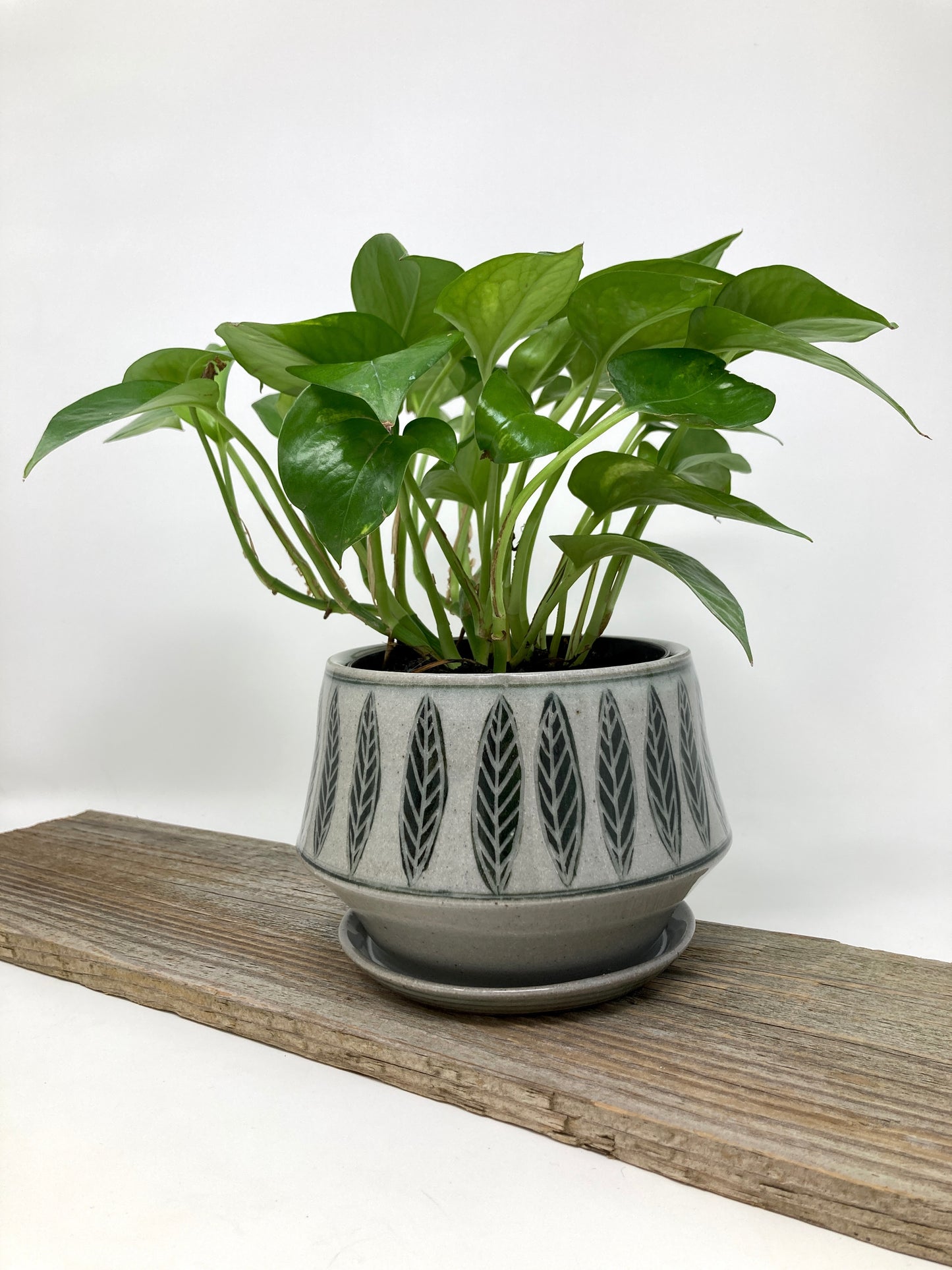 Carved Leaf Planter with Attached Drain Dish in Black and Gray
