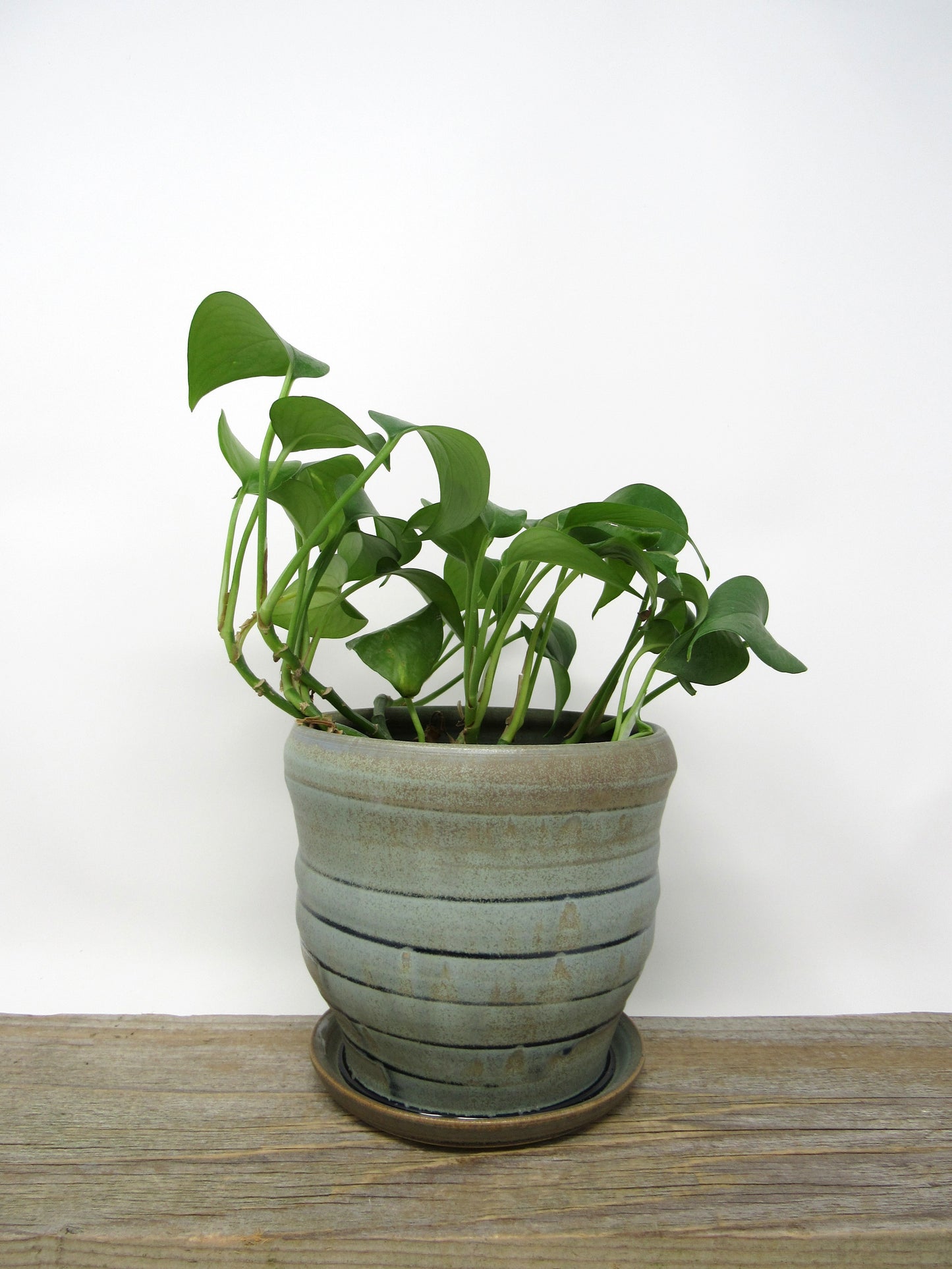 Planter in Blue Ridge