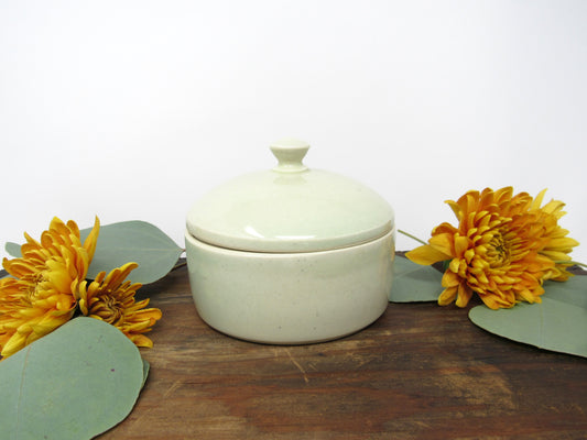 Salt Jar and Seasoning Salt Set #11 (Collab with Nettles and Petals NW)