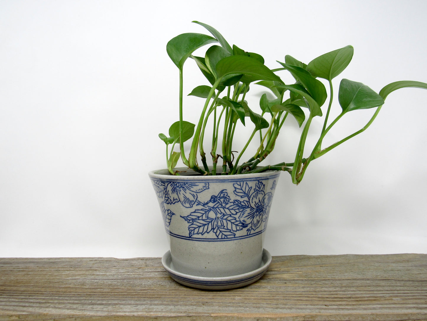 Wild Rose Planter