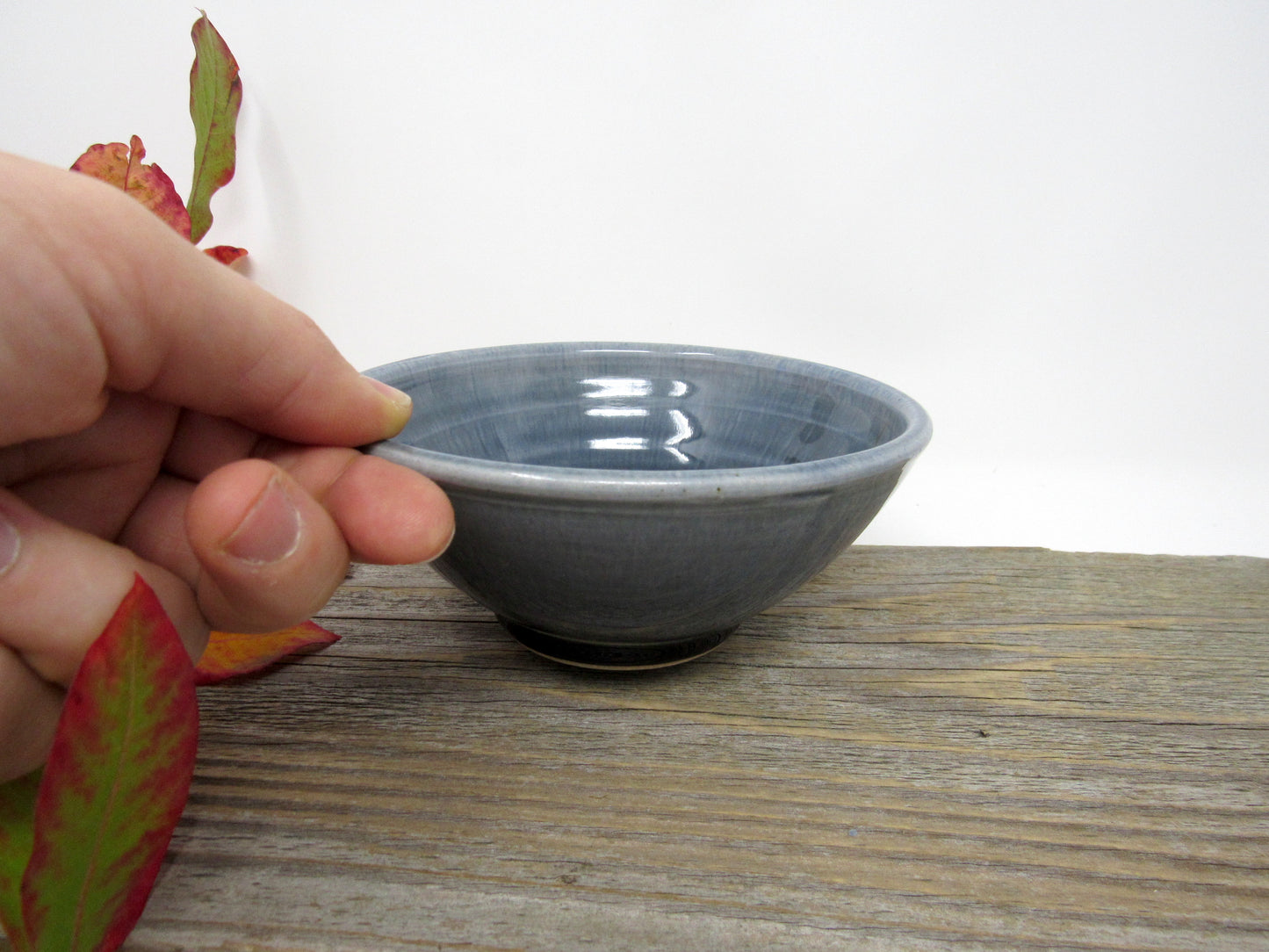 Small Bowl #2 in Blue