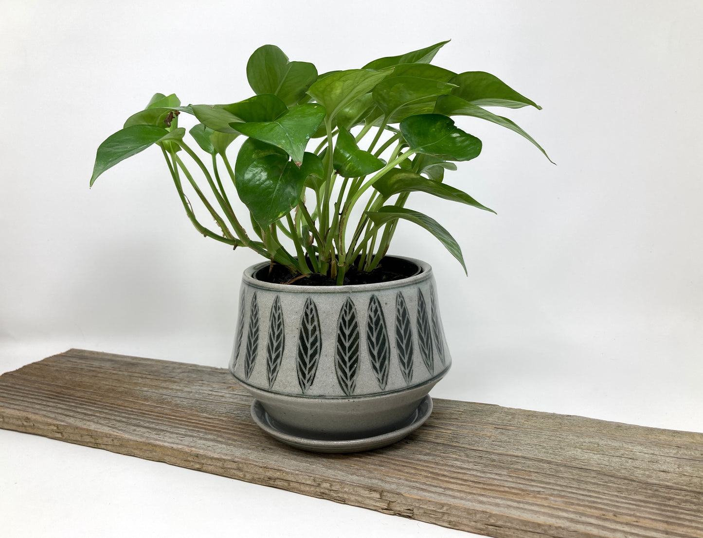 Carved Leaf Planter with Attached Drain Dish in Black and Gray