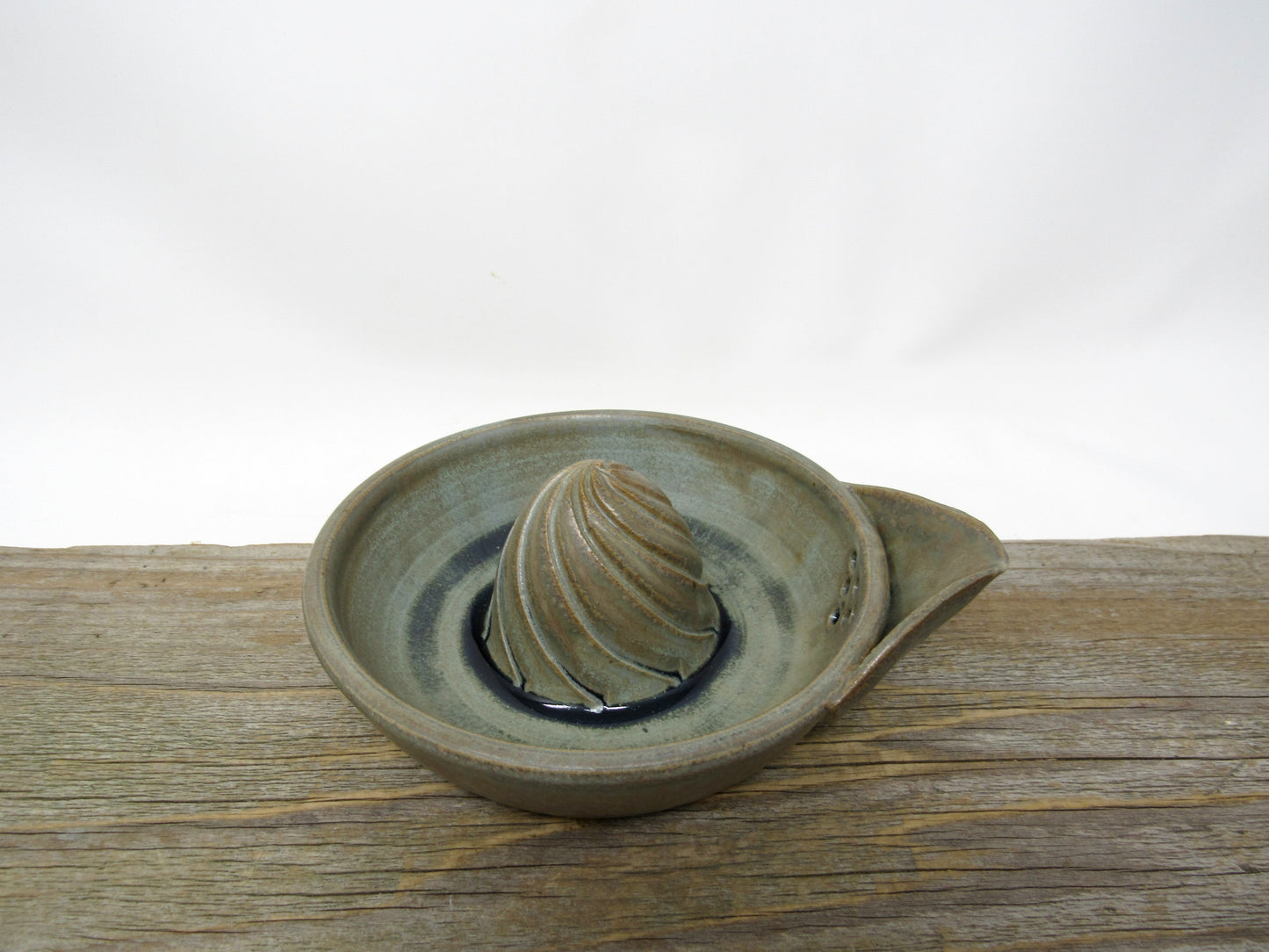 Citrus Juicer in Blue Ridge