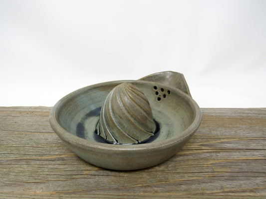 Citrus Juicer in Blue Ridge