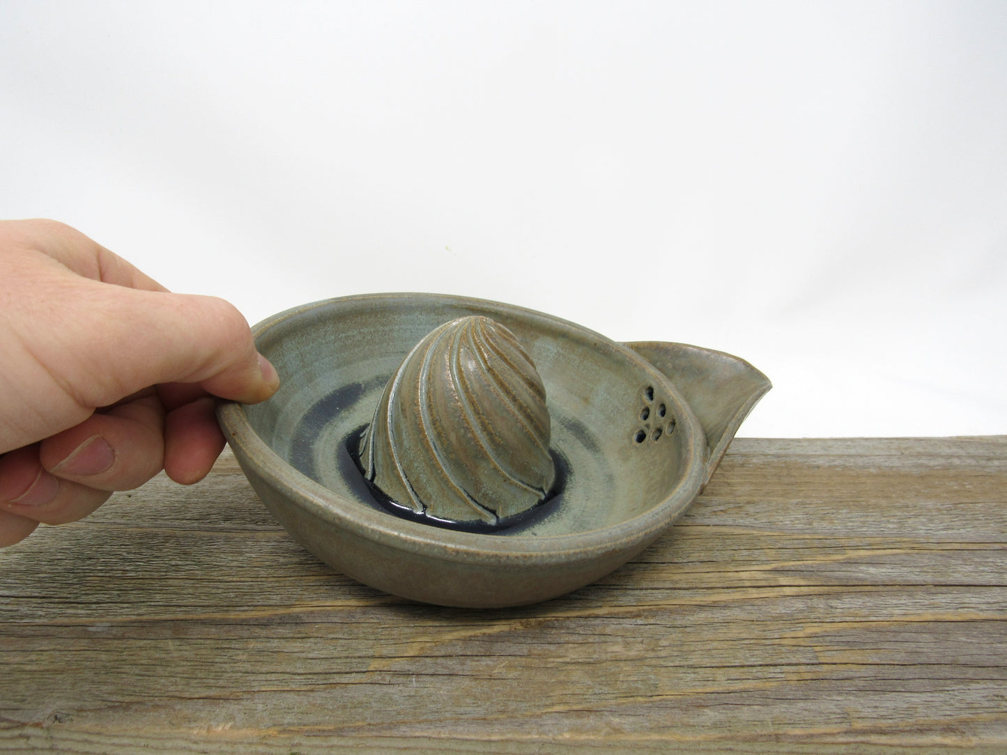 Citrus Juicer in Blue Ridge