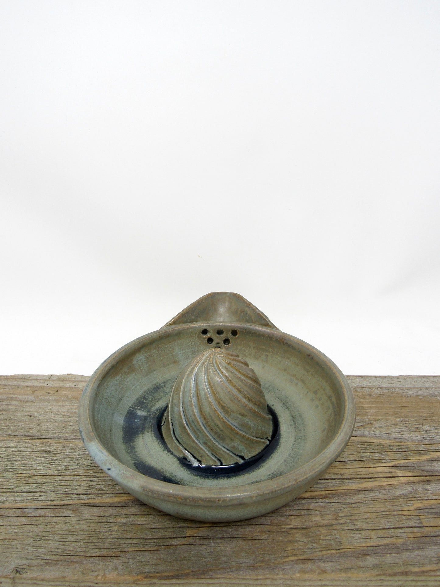 Citrus Juicer in Blue Ridge