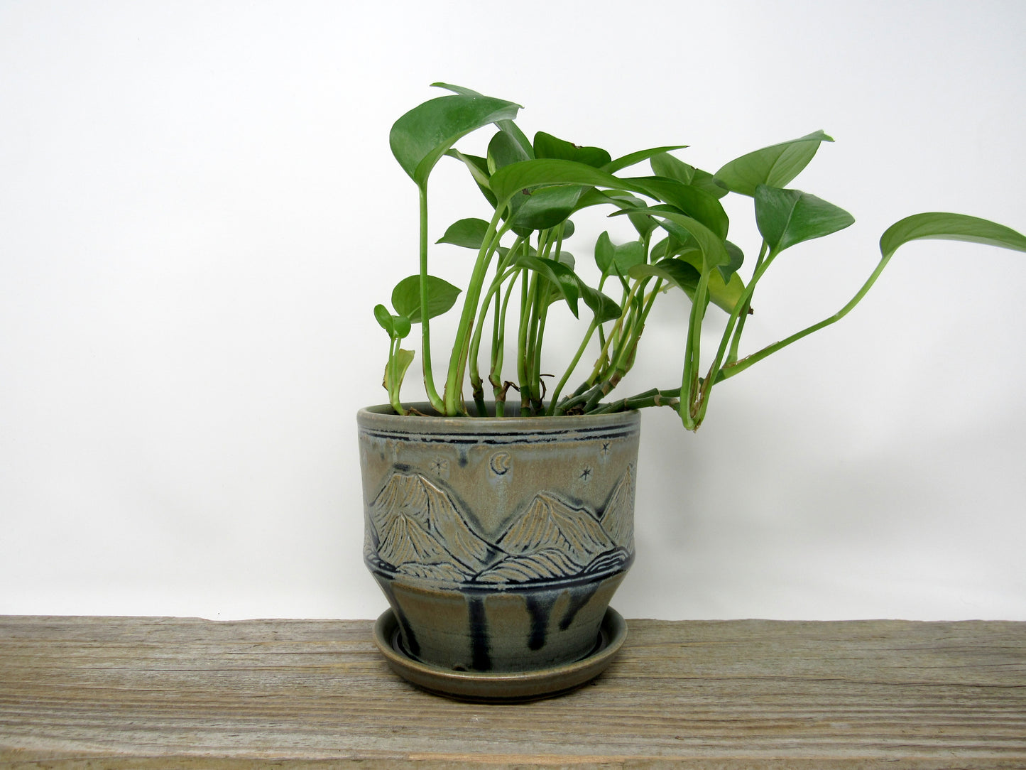 Mountain Landscape Planter in Blue Ridge