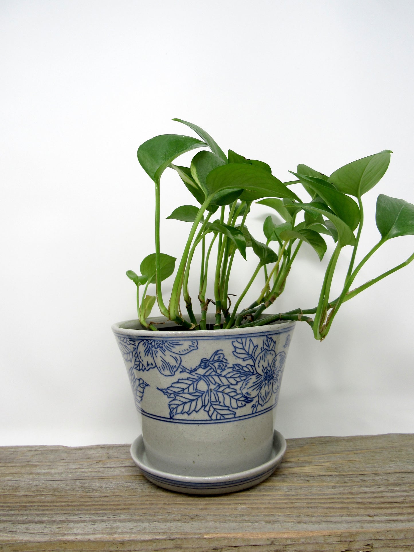 Wild Rose Planter